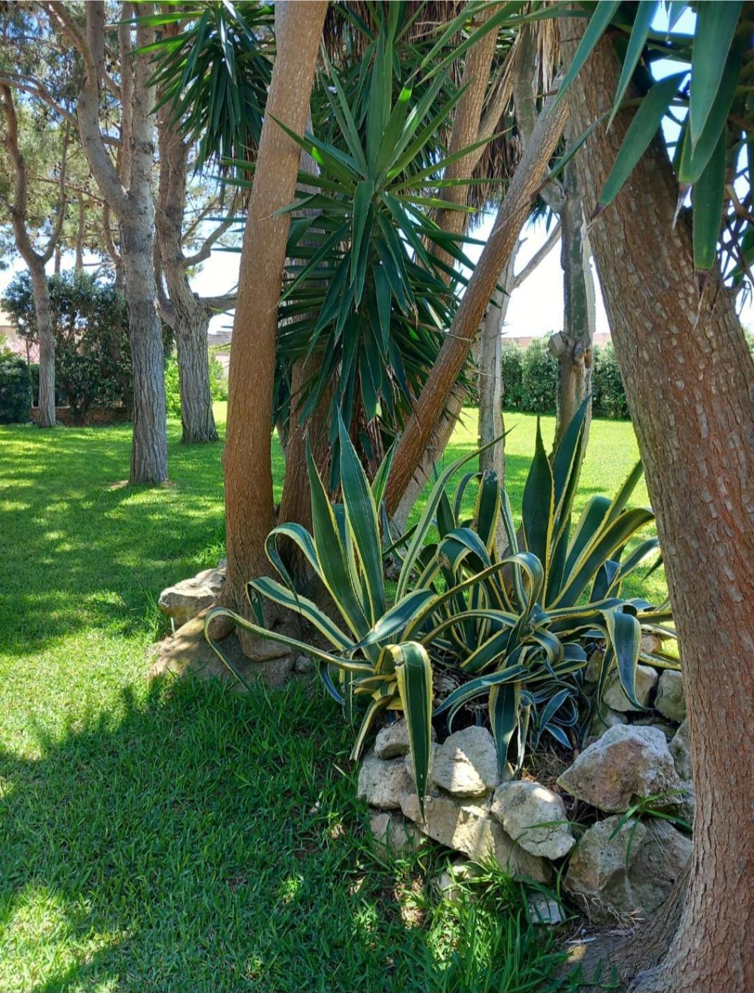 פאביננה Blu Vacanze Residence מראה חיצוני תמונה