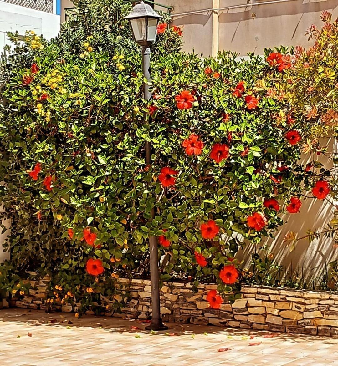 פאביננה Blu Vacanze Residence מראה חיצוני תמונה